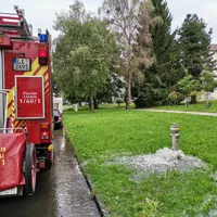 bild_1.jpg