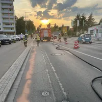 bild_1.jpg