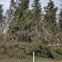 unwetter_100220__3.jpg