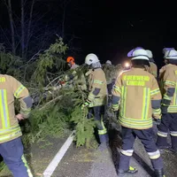 sturm_040220__2.jpg