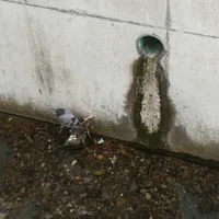 kleintierrettung1_24022021.jpg