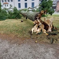 Bild_3.jpg