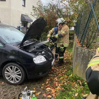 bild_1.jpg