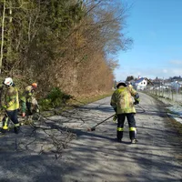 2023-02-26_baumaufstrasse.jpg