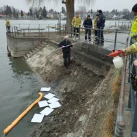 2023-03-01_olimsee.jpg