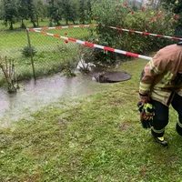 bild_3.jpg