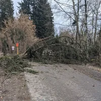 unwetter_100220.jpg