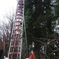 tierrettung_24122018.jpg
