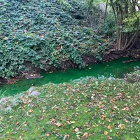 tobelbach_neongrun.jpg
