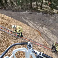 rauch_02.jpg