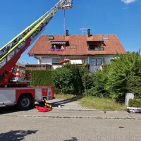bild_1.jpg