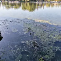 olaufgewasser.jpg