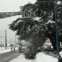 schneeunwetter_5.jpg
