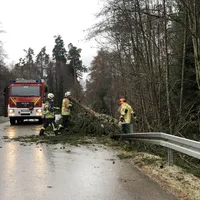 bild_2.jpg