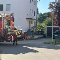 Bild_1.jpg