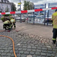 bild_1.jpg